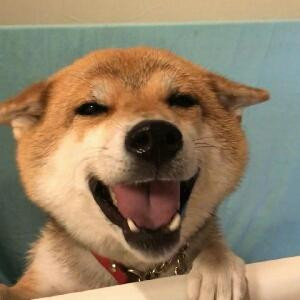 çÔ书童Ôç
