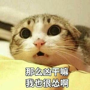 这名字有人叫了