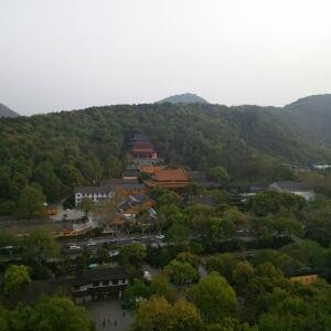 艳艳