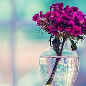 坠落凡间的精灵