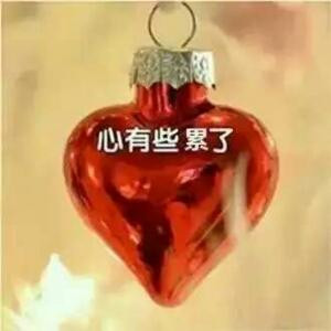 一天净逼事