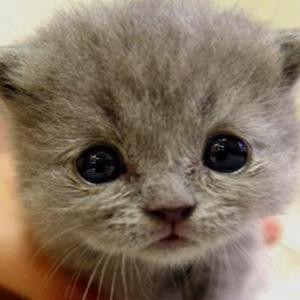 听说爱情回来过