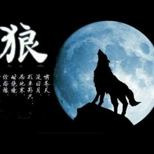 踏雪无痕