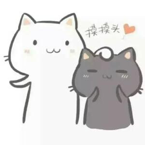 小茹