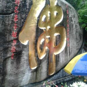 i252493713冠浩