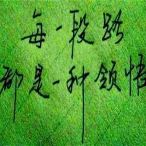 风无痕