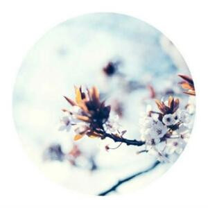 芳芳