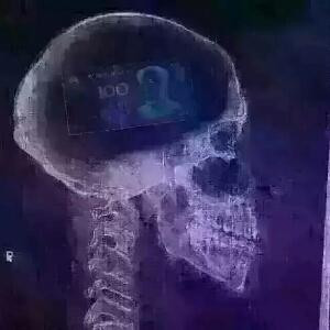 骑牛撞交警