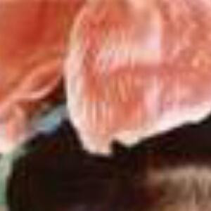 一生何求
