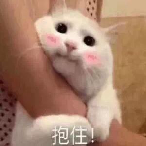 菇凉爱自己