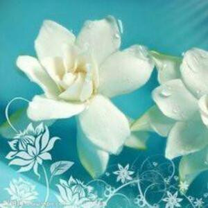 作死帮地藏小号