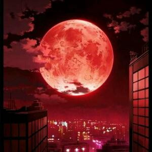 木头
