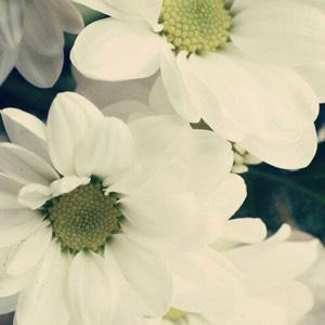 悠悠
