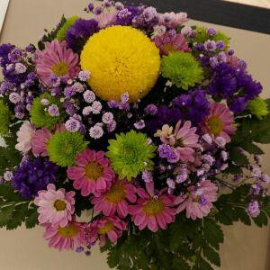 不眠之夜来看书