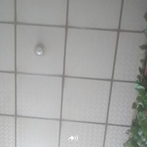 书中的记忆
