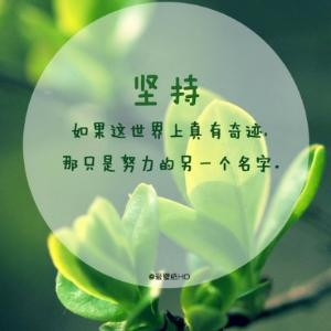 涛哥