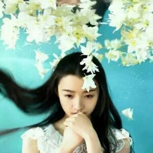 倾城泪