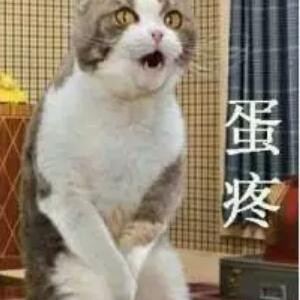 繁华落尽