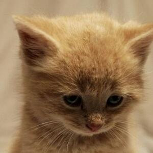 时间煮雨我煮饭