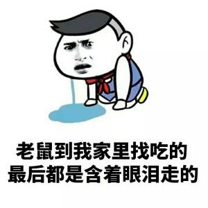 Yolo哟咯