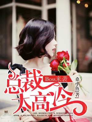 总裁太高冷