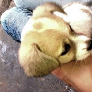 从不功到老一空