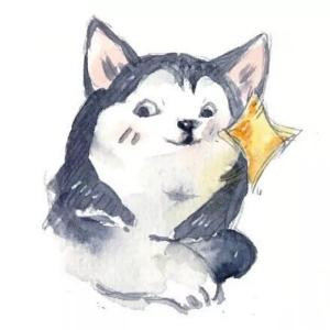 北葵向暖