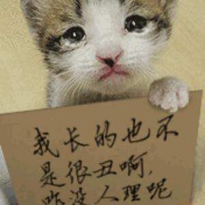 一世和你牵手
