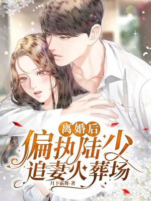 離婚後，偏執陸少追妻火葬場