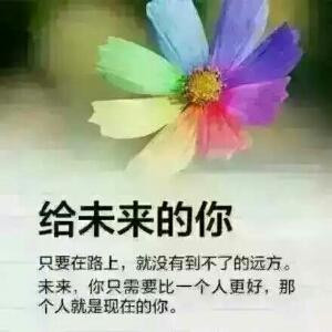 庞庞