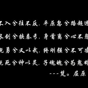 殇歌珺