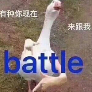 清欢渡