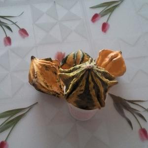 靠胆识、闯出一片天