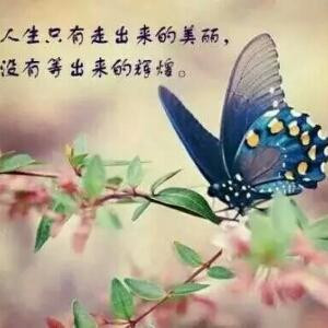 幽静
