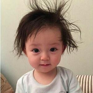 小胡桃