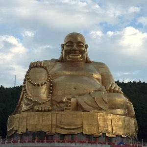 迷一样的小兔