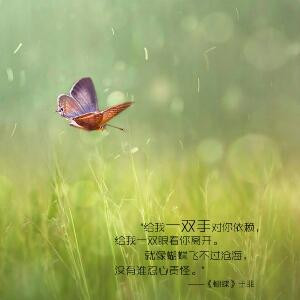 嗨丶伙计你是猪