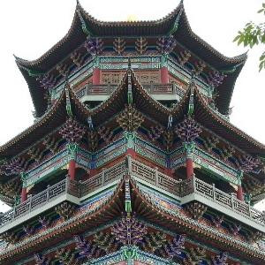 随风而去