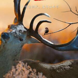 东方漠