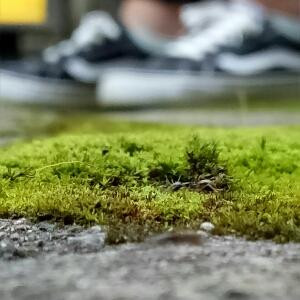 冷心冷血冷温柔