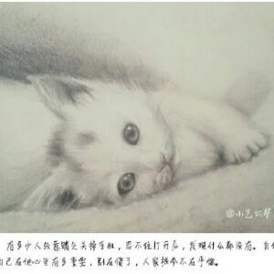 笨啊