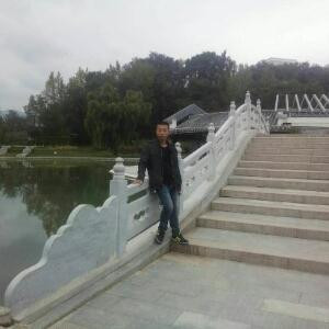 小马