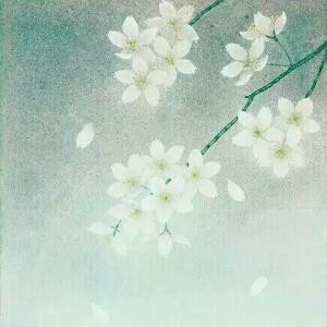 渍渍渍