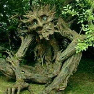 童年的梦想