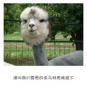 袮逽恏