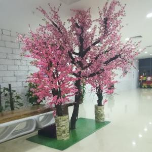 如梦无痕