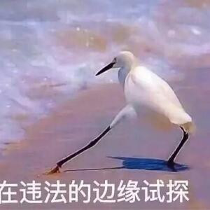 回归