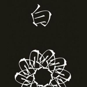 非柠檬何以心酸