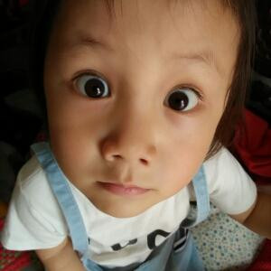 爱书之人