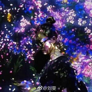 栀子姑娘